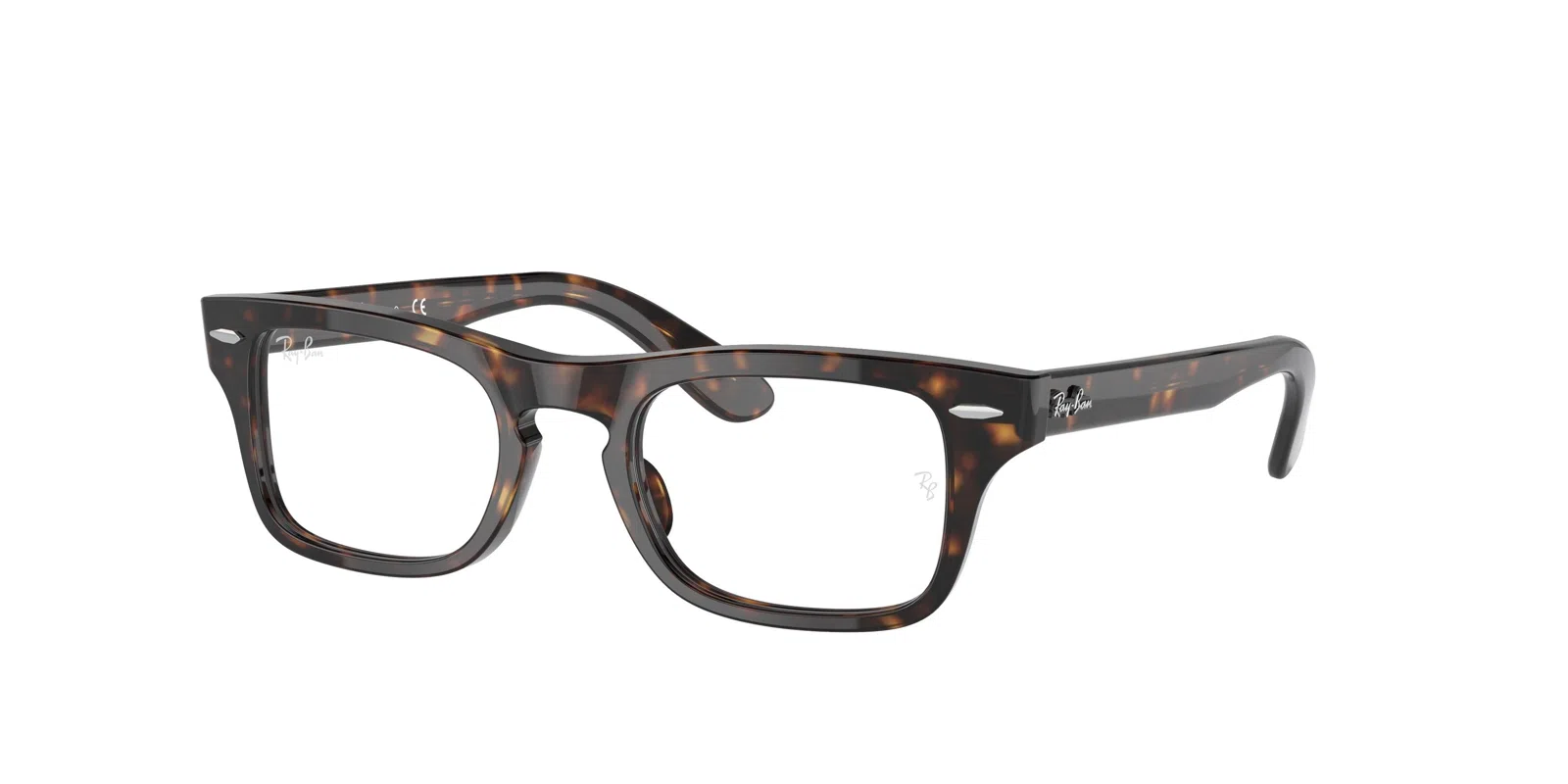 Ray-Ban Kids Burbank Jr 0RY9083V Eyeglasses - view 6